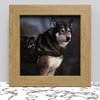 Black White Oak Photo Frame for 7x7 Inches (17.8 x 17.8 cm) Picture Photo, Stand or Hang on wall - Framesplus.co.uk