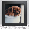 Black White Oak Photo Frame for 23 x 23 cm (9.1x9.1 Inches) Picture Photo, Stand or Hang on wall in both - Framesplus.co.uk