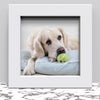 Black White Oak Photo Frame for 6x6 Inches (15.2 x 15.2 cm) Picture Photo, Stand or Hang on wall - Framesplus.co.uk