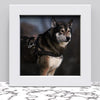 Black White Oak Photo Frame for 7x7 Inches (17.8 x 17.8 cm) Picture Photo, Stand or Hang on wall - Framesplus.co.uk