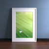 Sleek Range White Picture Photo Poster Frame with White Mount - Framesplus.co.uk