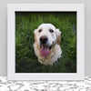 Black White Oak Photo Frame for 10x10 Inches (25.4 x 25.4 cm) Picture Photo, Stand or Hang on wall - Framesplus.co.uk