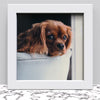 Black White Oak Photo Frame for 23 x 23 cm (9.1x9.1 Inches) Picture Photo, Stand or Hang on wall in both - Framesplus.co.uk