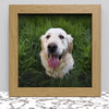 Black White Oak Photo Frame for 10x10 Inches (25.4 x 25.4 cm) Picture Photo, Stand or Hang on wall - Framesplus.co.uk